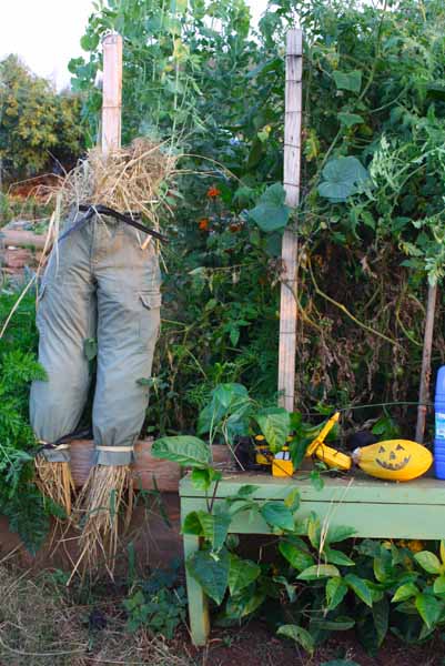 special touches to the garden